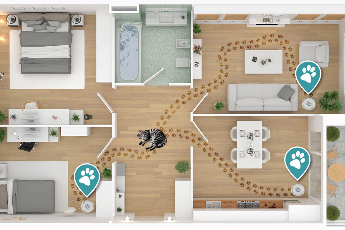 Appartment plan of pet fountain placement
