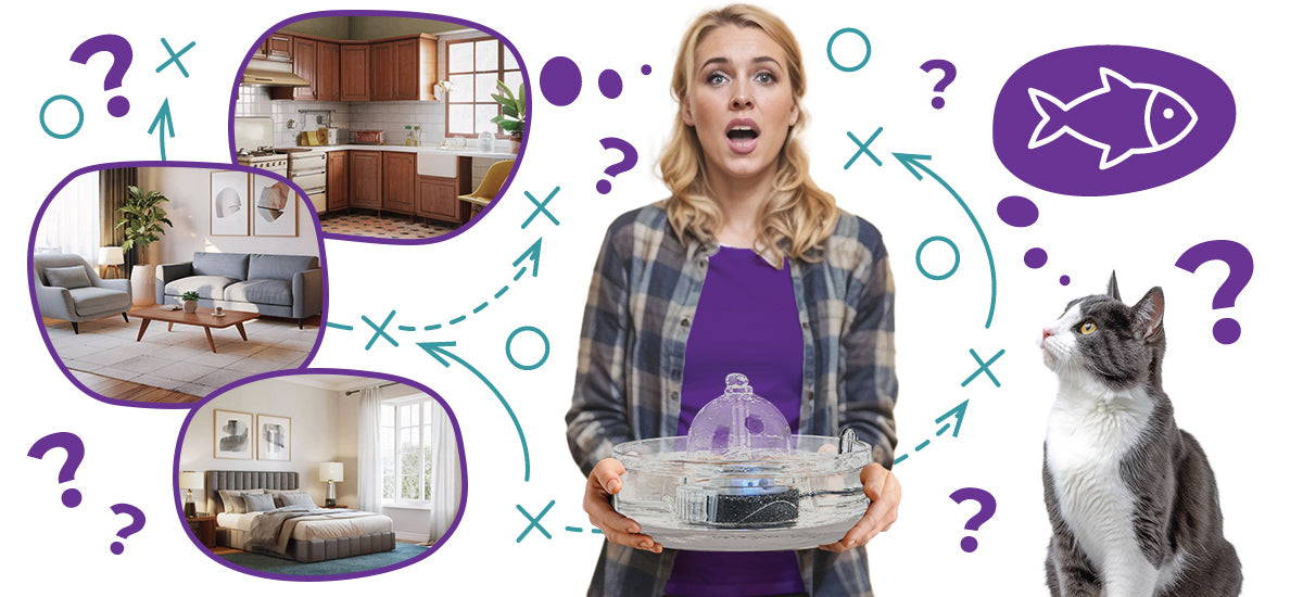 Woman try to figure out where she can place a pet fountain.