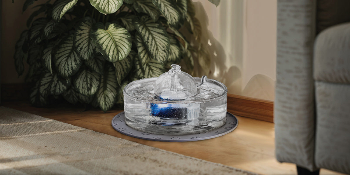 Pet fountain beside the wall