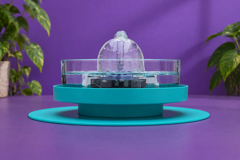 Where To Place Your Pet Fountain - Brook