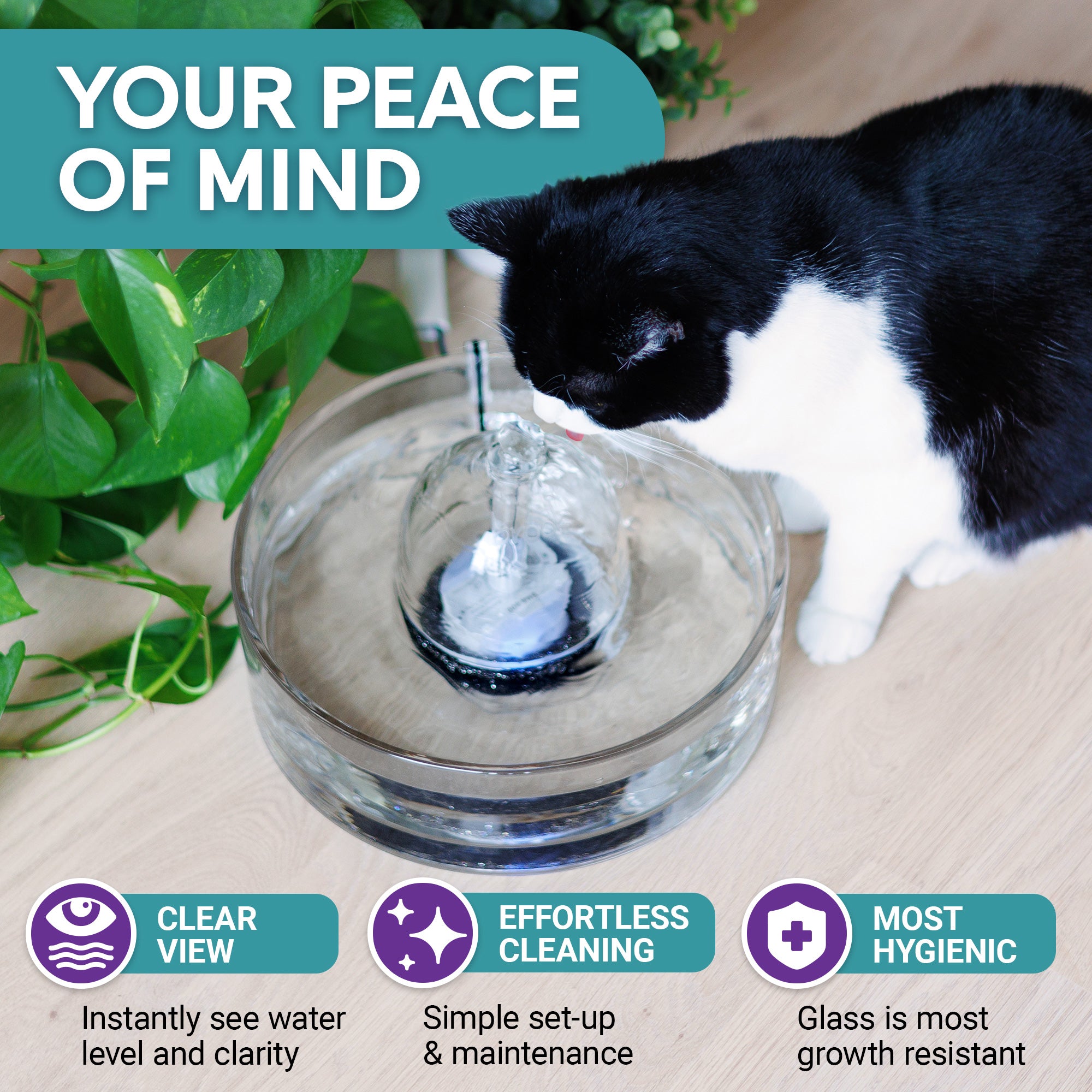 Brook Glass Pet Fountain – Cat Fountain – Automatic Water Dispenser