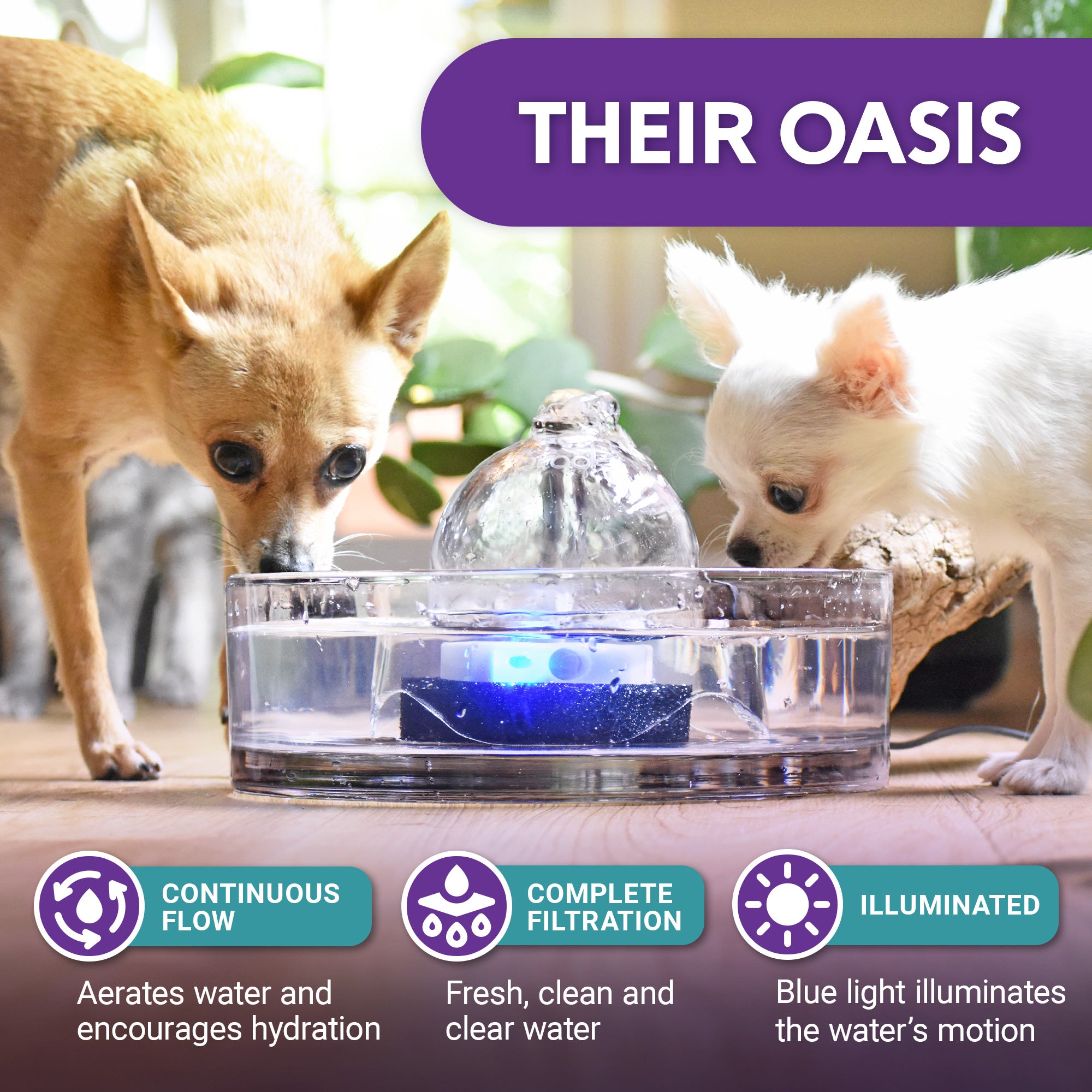 Glass dog drinking fountain brook pet fountain for indoors or outide
