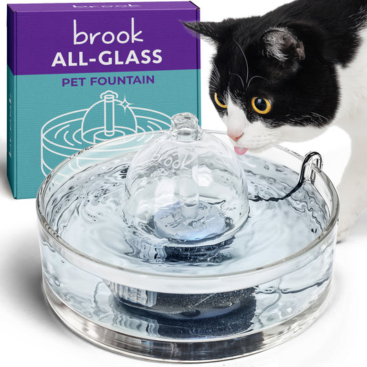 Brook All glass pet fountain – cat fountain and small dog water fountain glass automatic water dispenser for cats and dogs and small animals