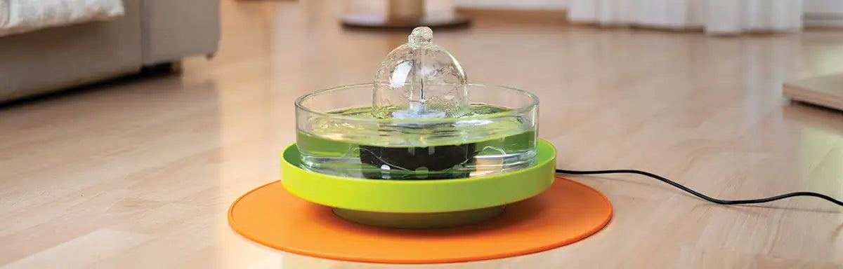 A grey long-haired cat drinks from a Brook glass fountain on a lime stand and an orange splash mat.