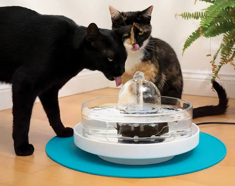 A calico cat drinks from a Brook glass fountain on a white stand and a teal splash mat.
