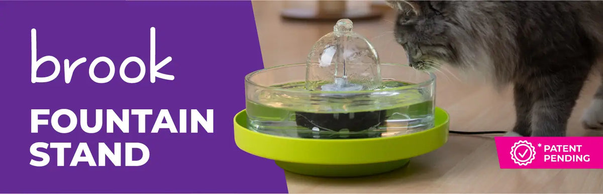 Brook fountain stand, patent pending: a cat drinks from a Brook glass fountain raised on a lime stand.