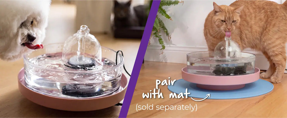 Pair with mat (sold separately): a Brook fountain on a stand and a splash mat.