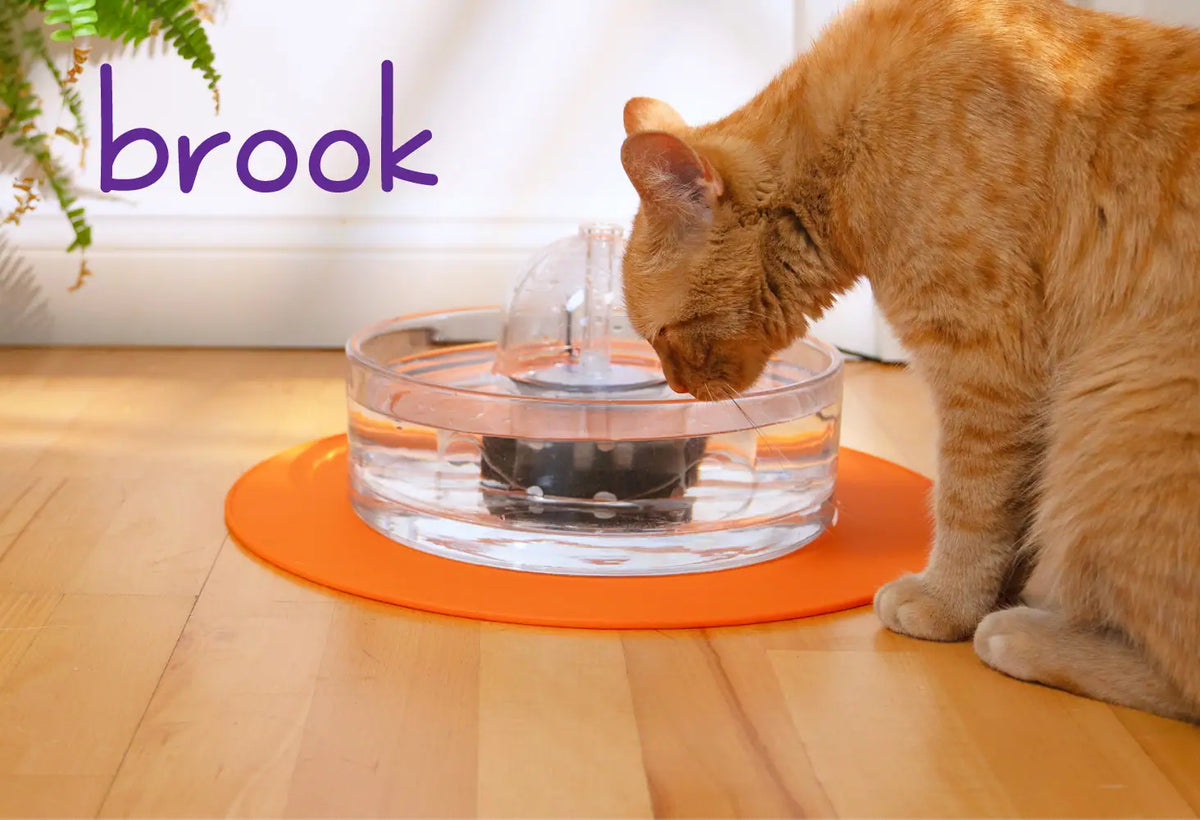 A cat drinks from a Brook fountain standing on an orange splash mat.