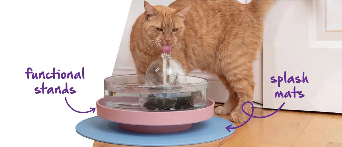 A cat drinks from a Brook fountain on a pink functional stand and a blue splash mat.