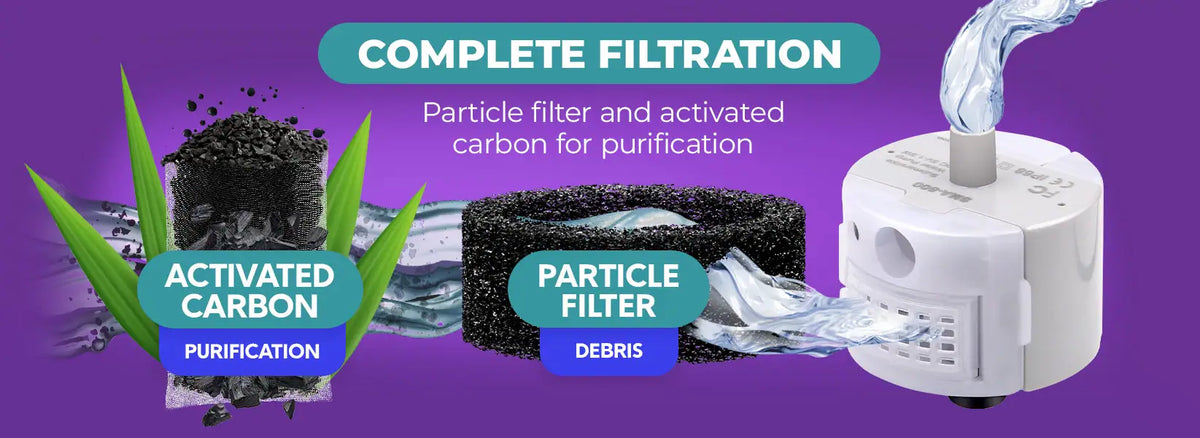 Complete filtration: a particle filter catches debris and activated carbon purifies the water, around the Brook pump.