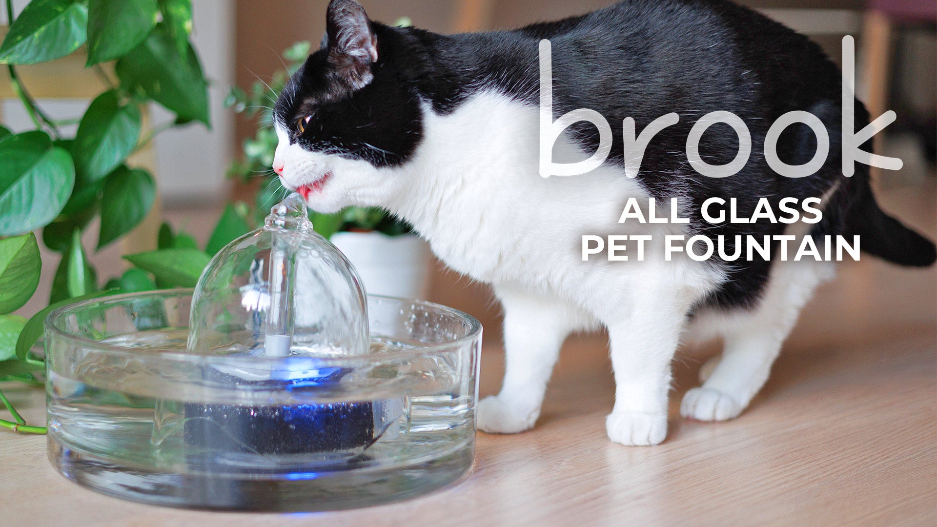 Brook all glass pet fountain Glass Cat Fountain