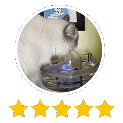 BROOK Glass Pet Fountain All Glass Water Fountain for Cats and Dogs Brook