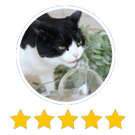 Cat Water Fountain Brook Glass Pet Fountain U2013 Cat