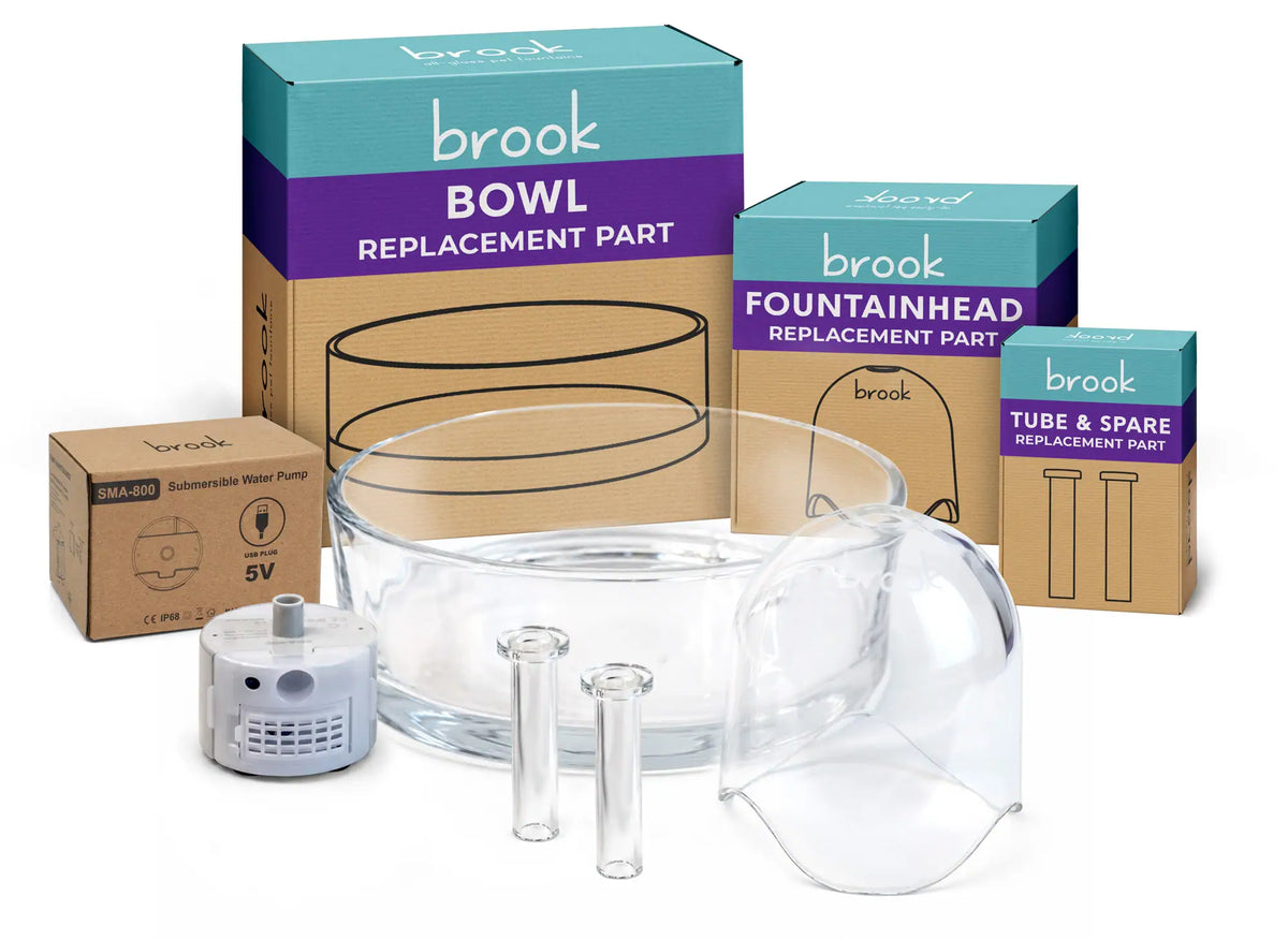 Brook replacement parts: the glass bowl, fountainhead, tubes and pump in front of their boxes.