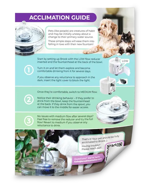 Page from the Brook Acclimation Guide