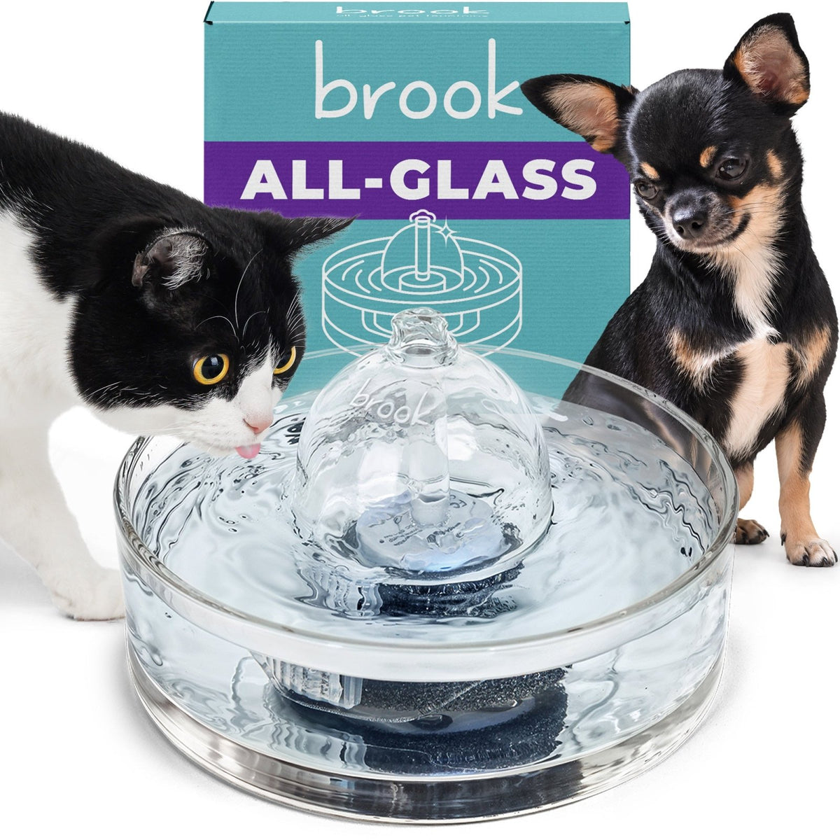 Brook All-Glass Pet Water Fountain - Brook