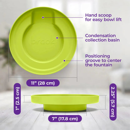 Lime Brook Fountain Stand – Carry Tray for Glass Cat & Dog Fountains - Brook