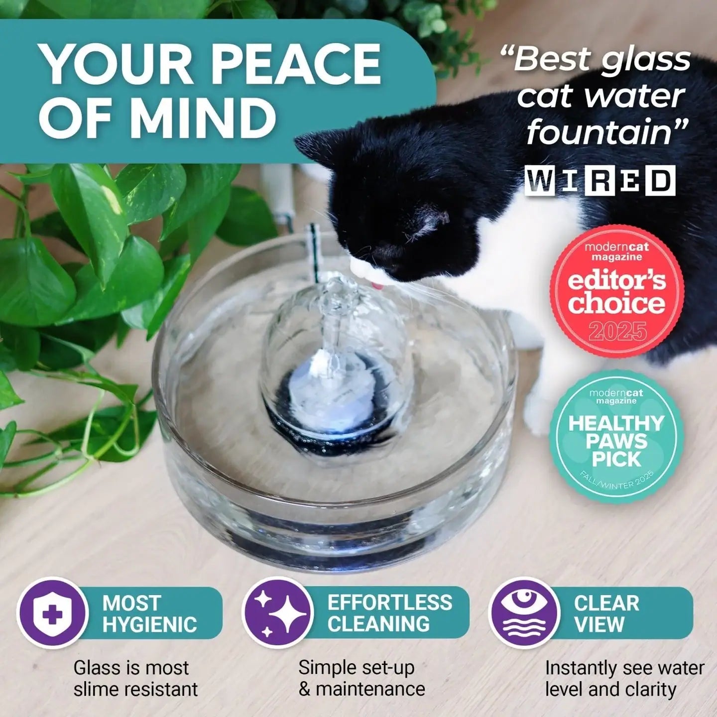 Brook Glass Pet Fountain – Hygienic and Easiest to Clean - Brook