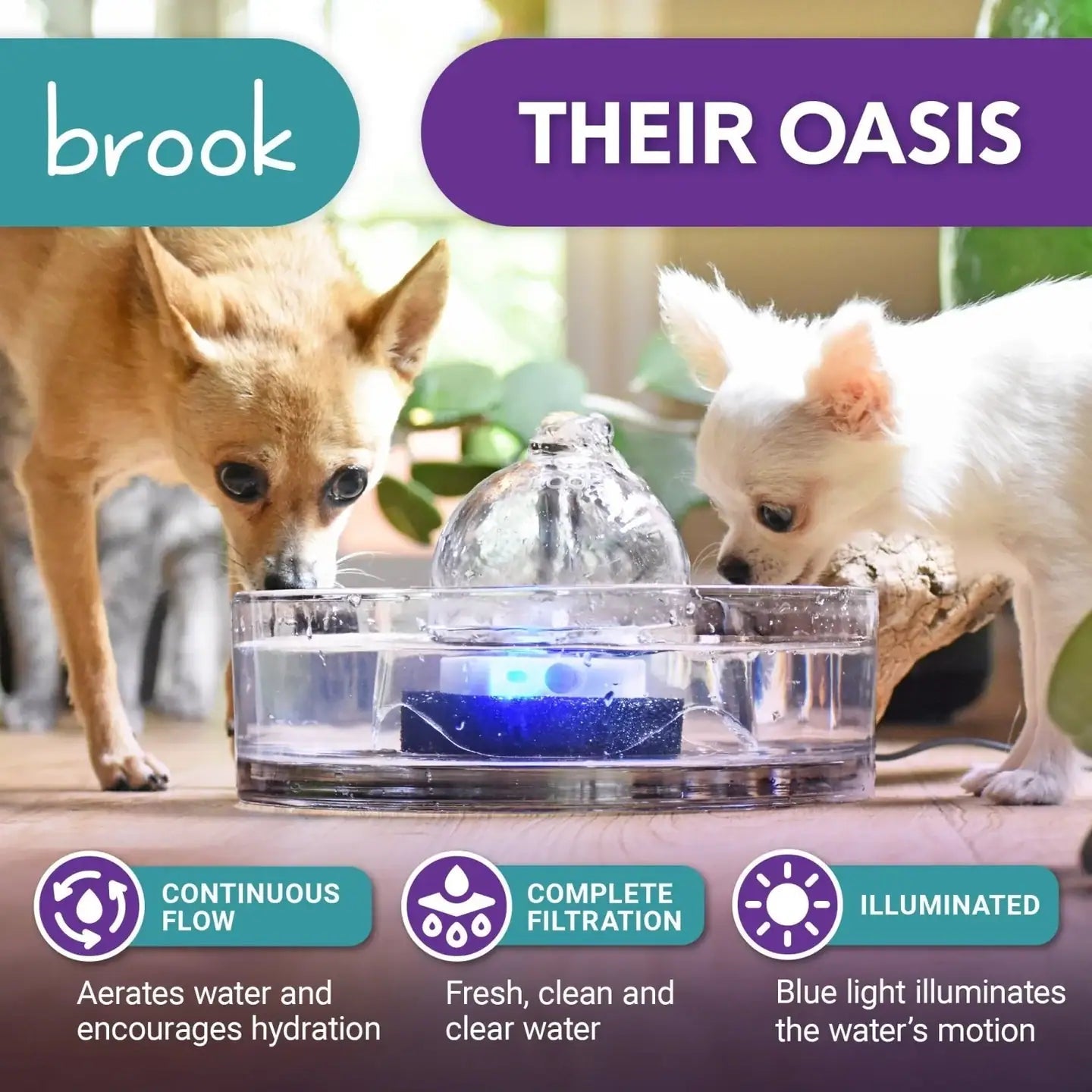 Brook Glass Pet Fountain – Hygienic and Easiest to Clean - Brook